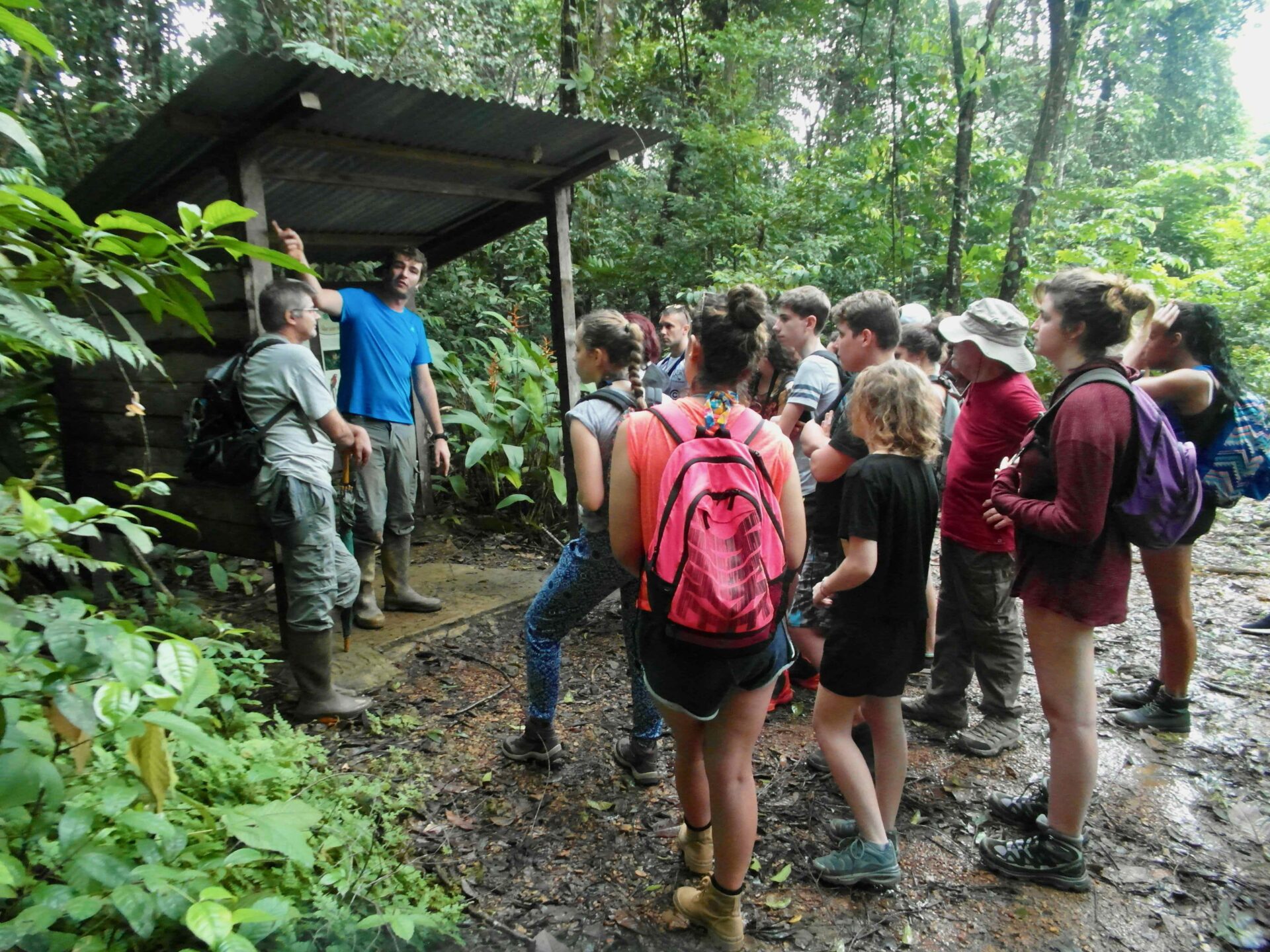 Boswachters van Trésor in het regenwoud die een schoolklas een rondleiding geven