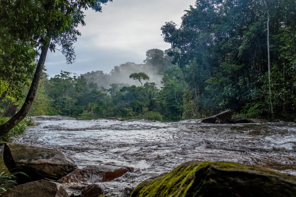 Goede doelen natuur en milieu. Wilde rivier in het regenwoud van Frans-Guyana.